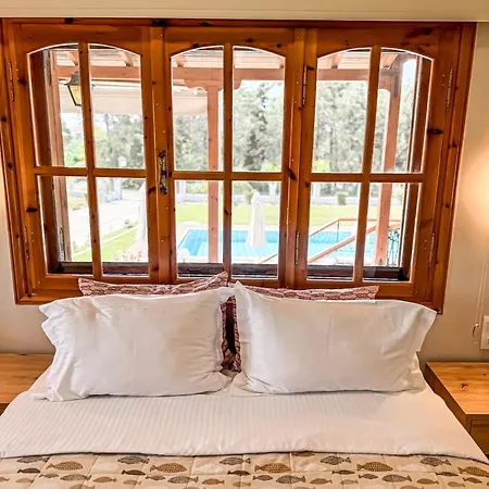 Georgalas Pool House