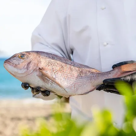 Kalisun Pool House By Georgalas Konukevi Nea Kallikrateia